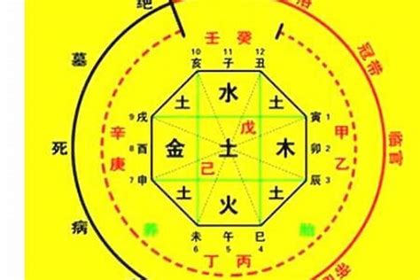 八字 喜忌|生辰八字算命、五行喜用神查询（免费测算）